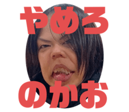 455675420