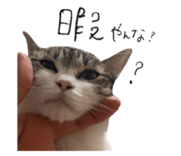 455678016