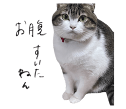 455678025