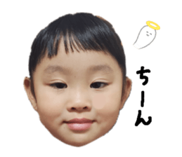 455680180