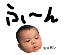45578882