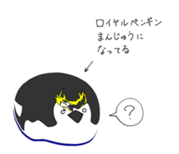 455807888