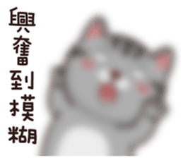 45580931