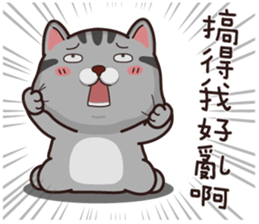 45580941