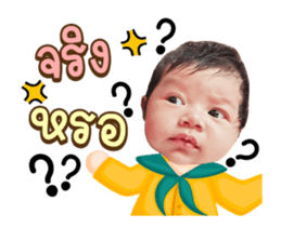 455829713