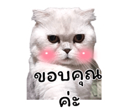 455839034
