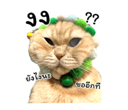 455839050