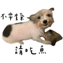 455861394