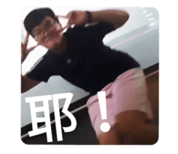 455875822