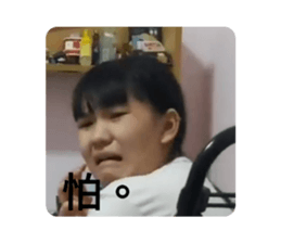 455875829