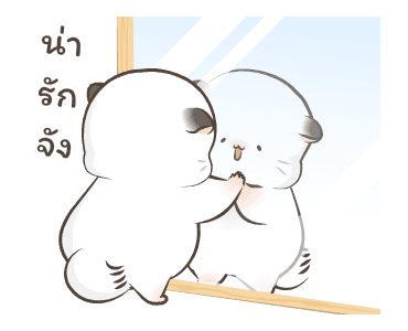 Simao & Bamao ชินชิลลานุ่มนิ่ม 7 รูปที่ 3