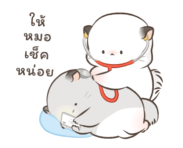 Simao & Bamao ชินชิลลานุ่มนิ่ม 7 รูปที่ 4