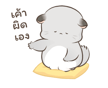 Simao & Bamao ชินชิลลานุ่มนิ่ม 7 รูปที่ 13