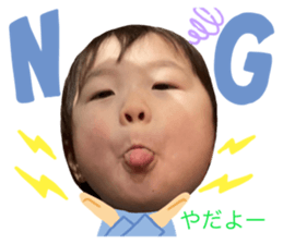 455913402