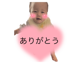 455913620