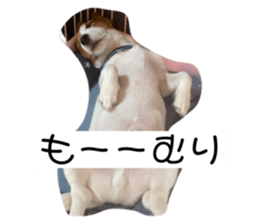 455920148