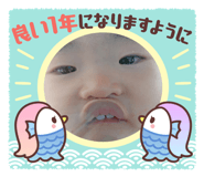 455922818