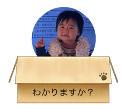 455924310