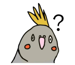 455924356