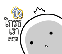 45592522