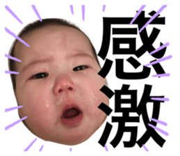 455929585
