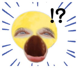 455935291