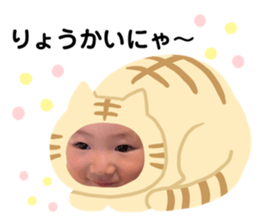 455941517
