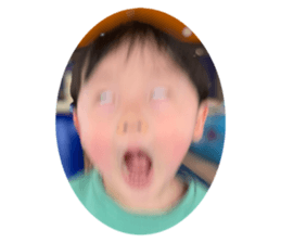 455942934