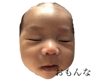 455943866