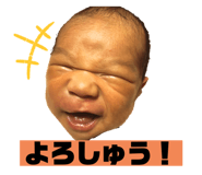 455943877