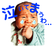 455943881