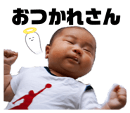 455943895