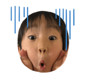 455953078