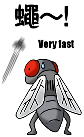 456021738