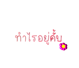 456037665