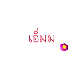 456037667