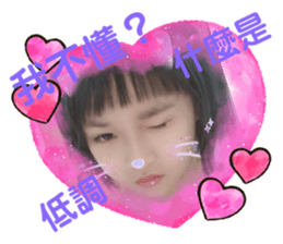 456048031