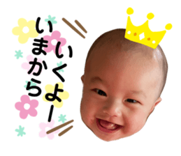 456082385