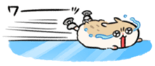 456092993