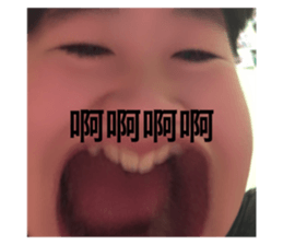 456181528
