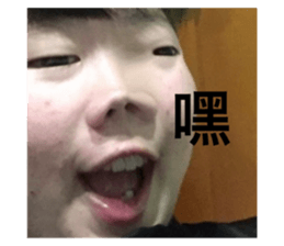 456181532