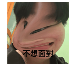 456181537