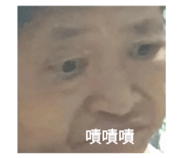 456183329