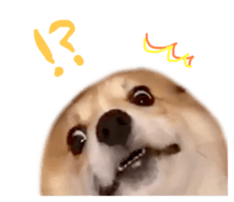 456225415