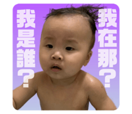 456244648