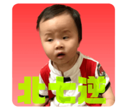 456244650