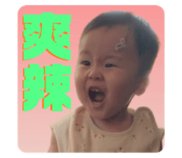 456244661