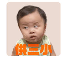 456244665