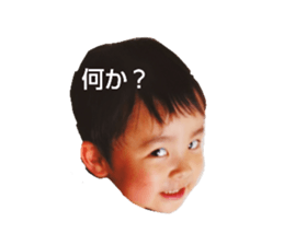 45627174