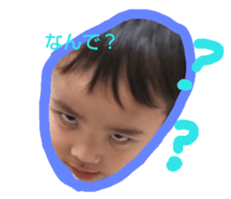 45627175